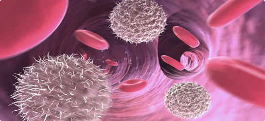 Bakteriyel Enfeksiyon Belirtileri ve Tedavisi