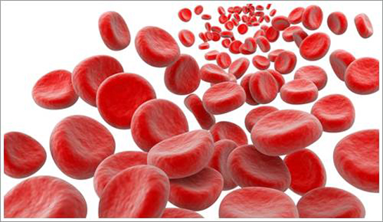 Kanda Enfeksiyon Bulunması